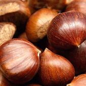 castagne_2.jpg