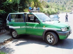 corpo-forestale-dello-stato.jpg