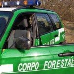 FORESTALE