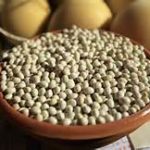 fagioli