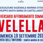 velella