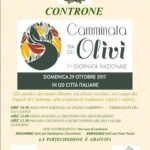 controne-camminata-tra-gli-ulivi
