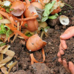 compost