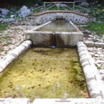 Parco del Cilento, proposta di Corleto Monforte per garantire acqua agli animali al pascolo