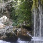 Casaletto Spartano, concerto tra natura e cascate nell’Oasi Capelli di Venere